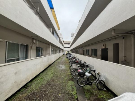 ̑p@Ɏ]Ԃ߂̂œSzȂSłB