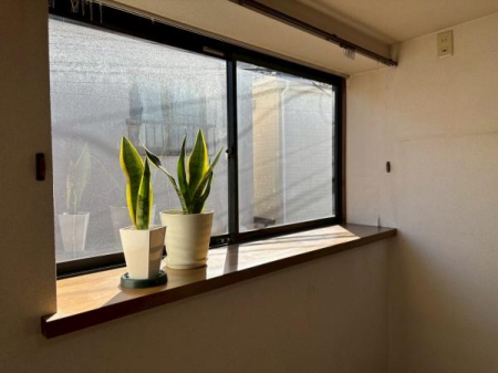 ���̑����ρ@��������ǍD��