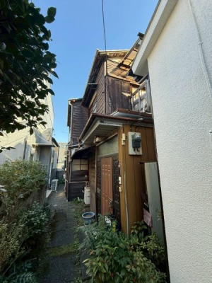 ���n�O�ώʐ^�@���n�i2025�N11���j�B�e