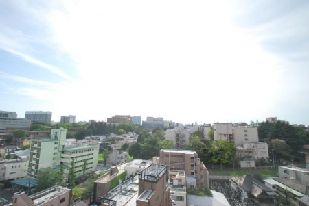 �Z�˂���̒��]�ʐ^�@-