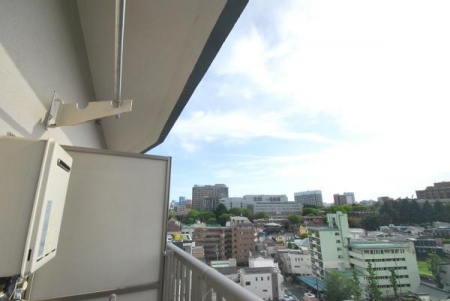 �Z�˂���̒��]�ʐ^�@-